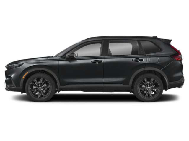 Profil, orienté vers la gauche