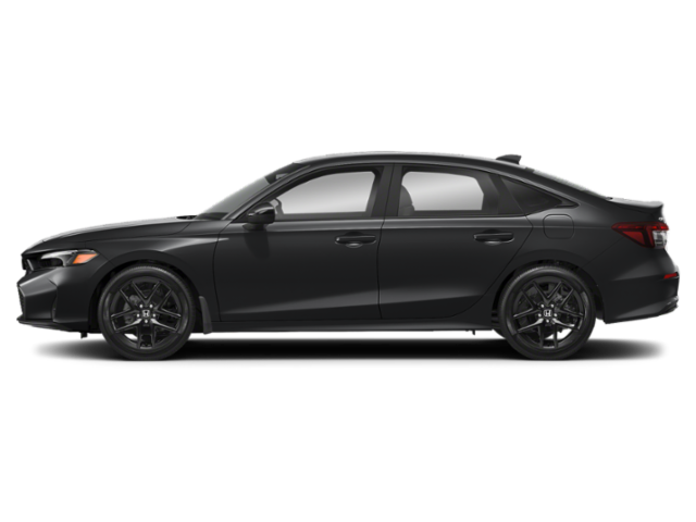 Profile, Facing to the Left