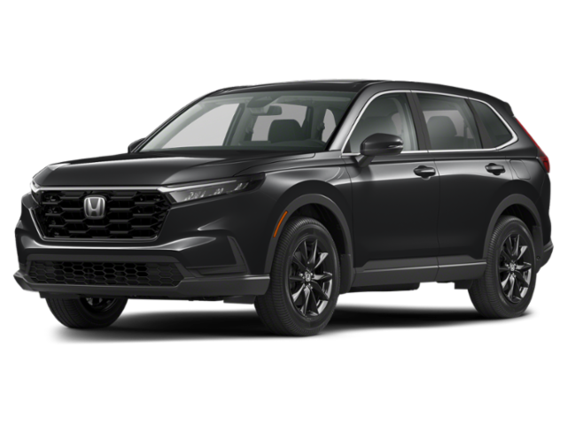 Front 3/4, Facing to the Left