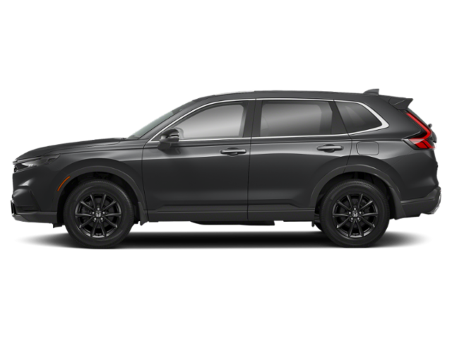 Profil, orienté vers la gauche