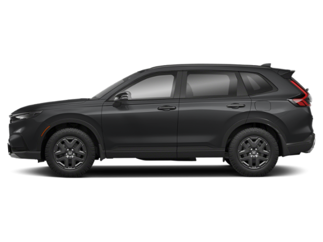 Profil, orienté vers la gauche