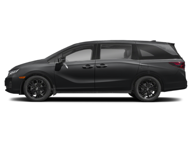 Profil, orienté vers la gauche