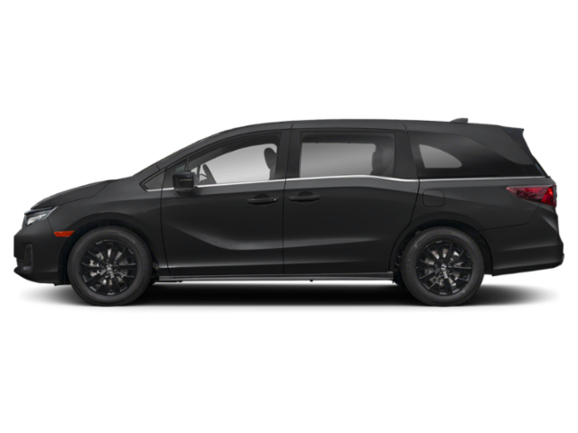 Profil, orienté vers la gauche