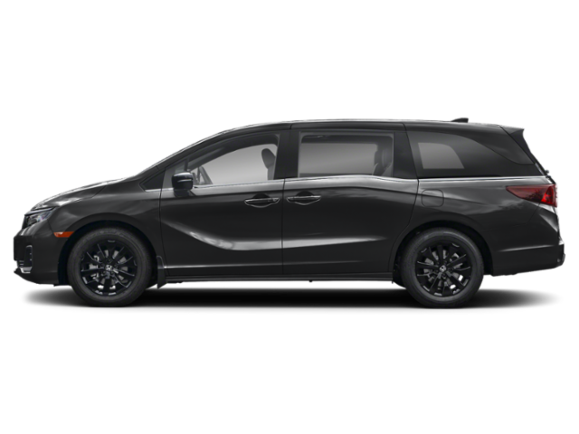 Profile, Facing to the Left