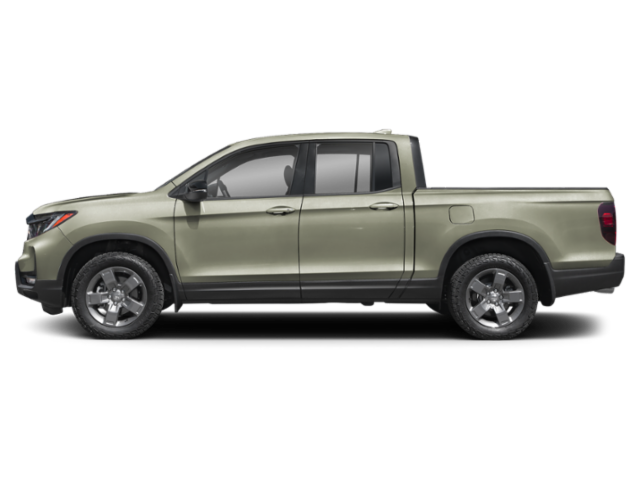 Profil, orienté vers la gauche