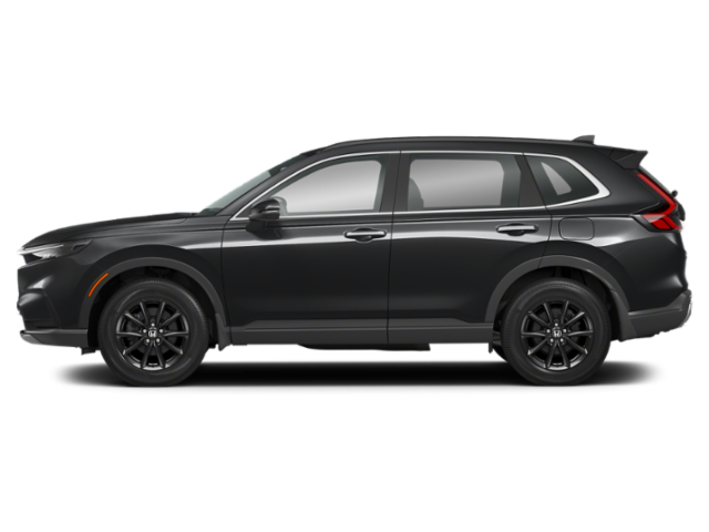 Profile, Facing to the Left