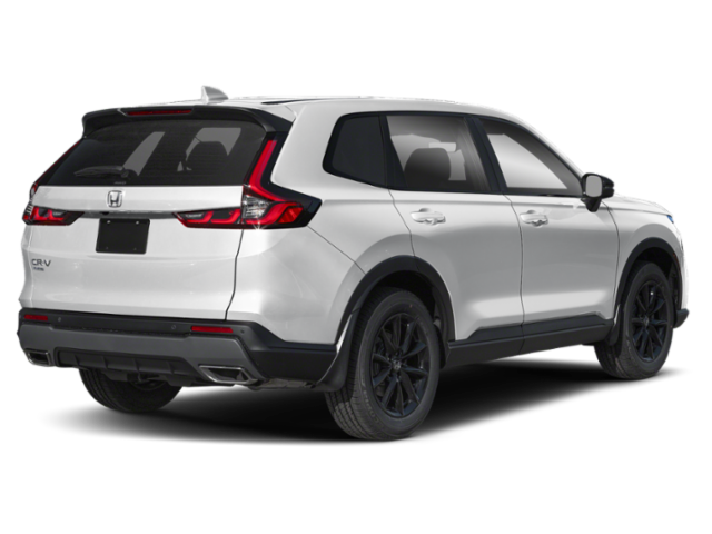 Extérieur - Blanc platine nacré