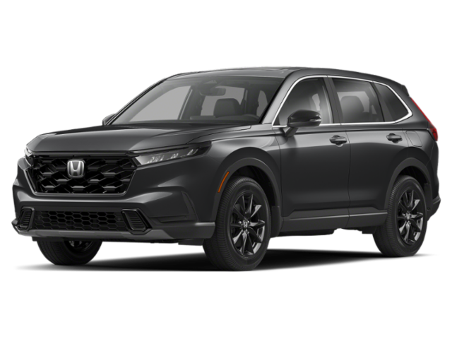 Front 3/4, Facing to the Left