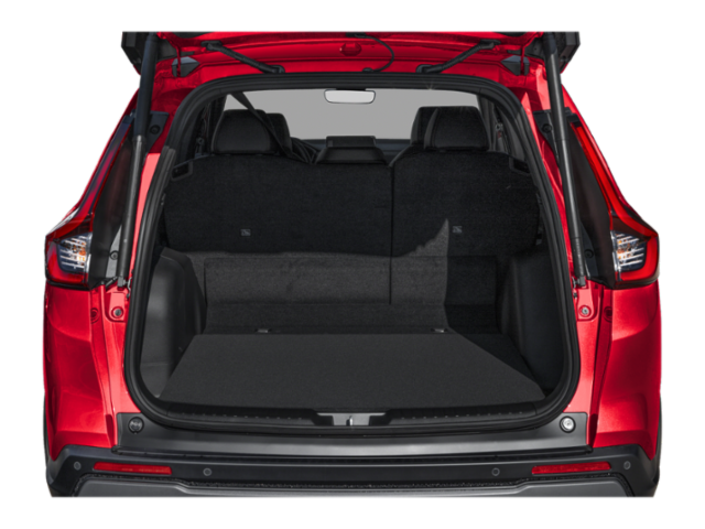 Trunk with Hatch Open Feature