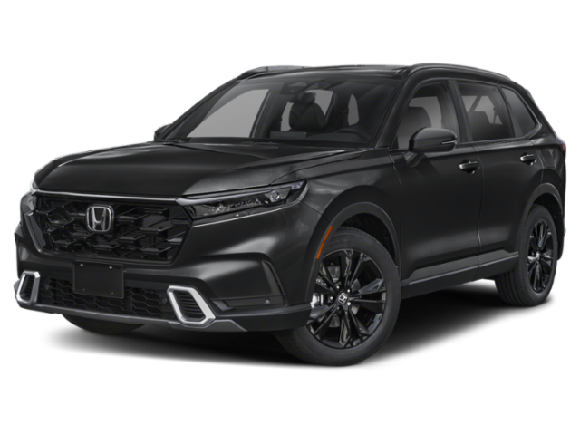 Front 3/4, Facing to the Left