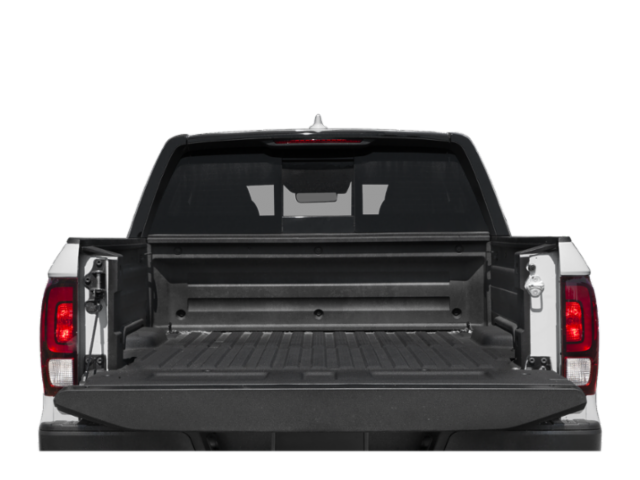 Trunk with Hatch Open Feature