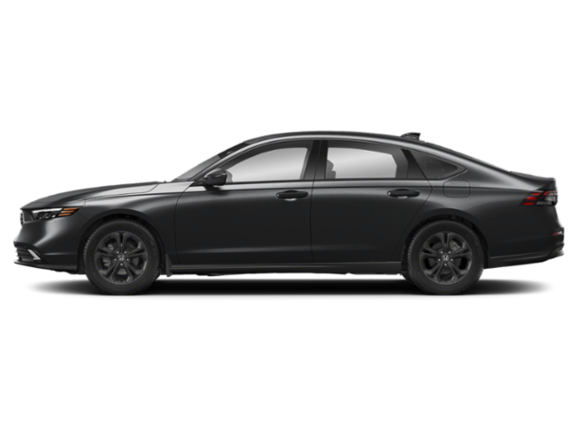 Profile, Facing to the Left