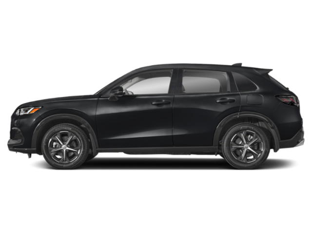 Profile, Facing to the Left