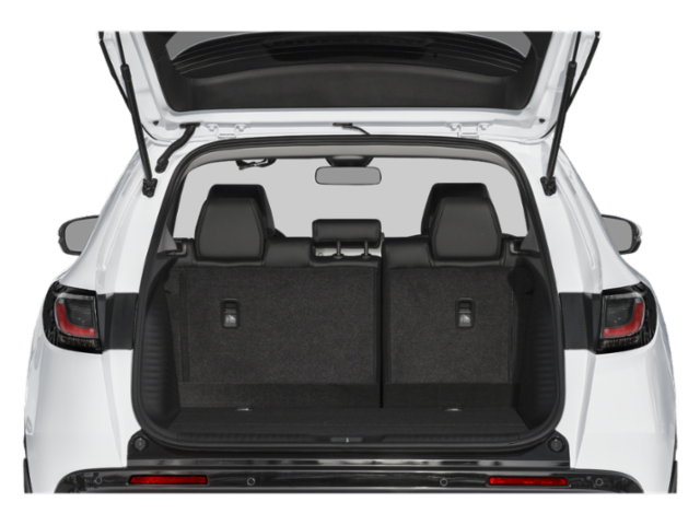 Trunk with Hatch Open Feature