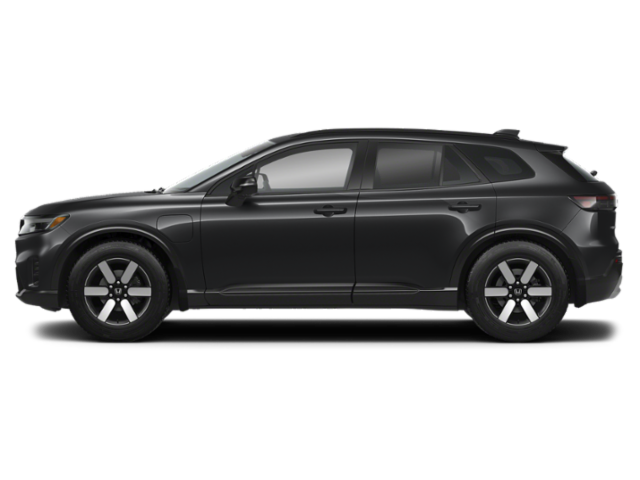 Profile, Facing to the Left