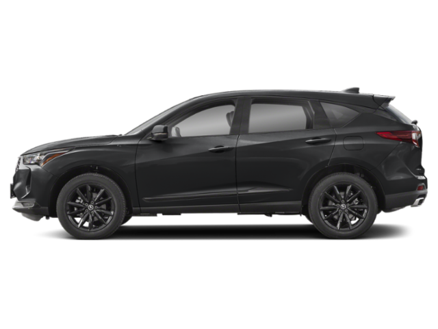 Profil, orienté vers la gauche