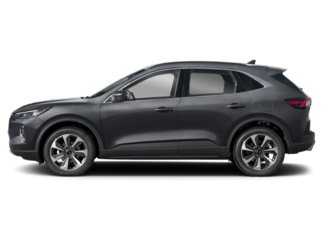 Profil, orienté vers la gauche