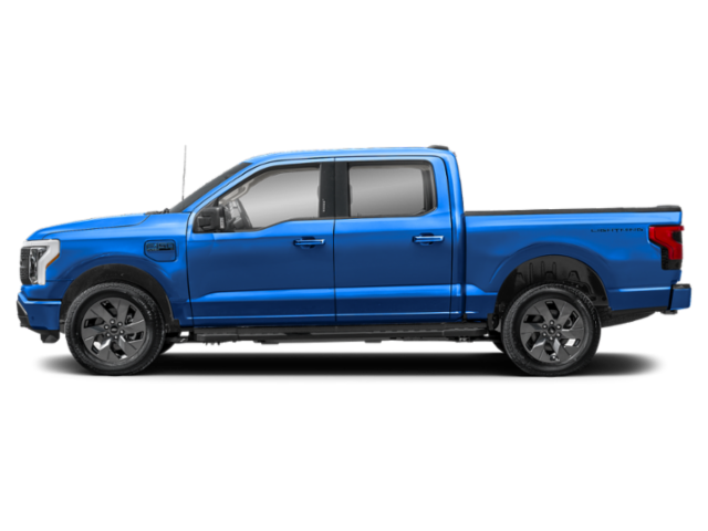 Profil, orienté vers la gauche