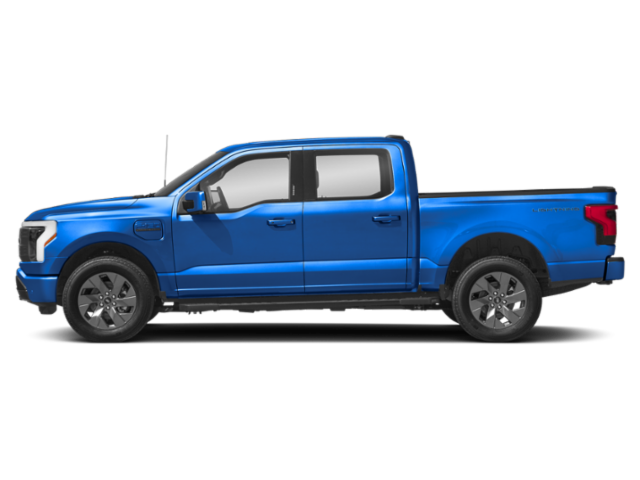 Profil, orienté vers la gauche