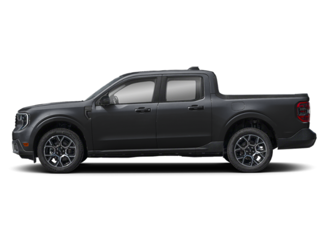 Profile, Facing to the Left