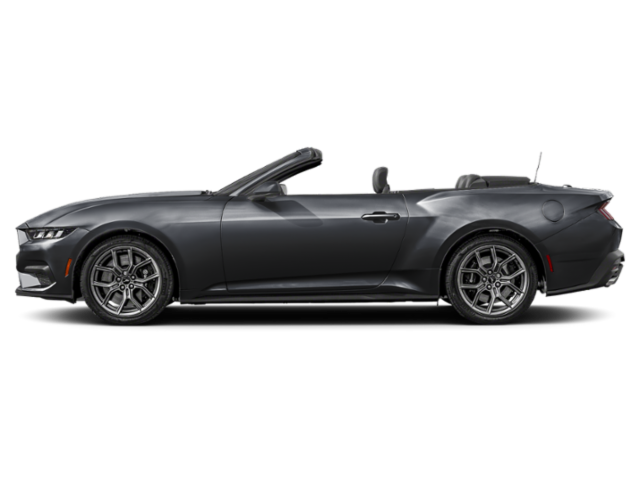 Profil, orienté vers la gauche