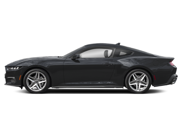 Profil, orienté vers la gauche