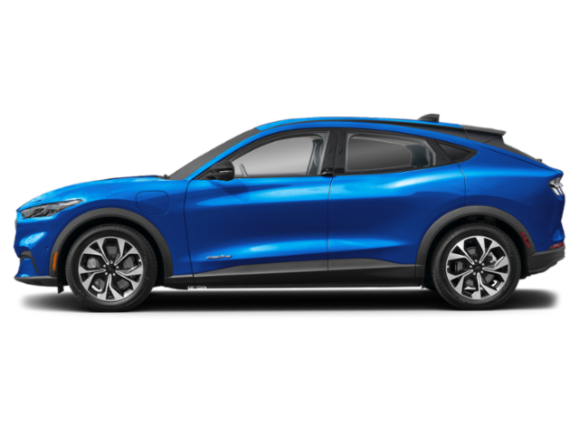 Profil, orienté vers la gauche