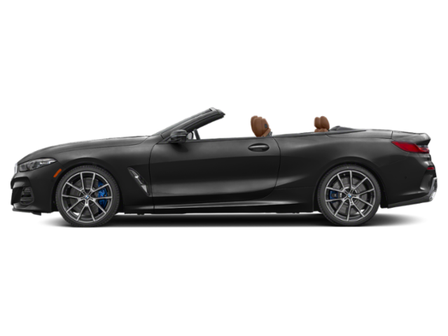 Profil, orienté vers la gauche